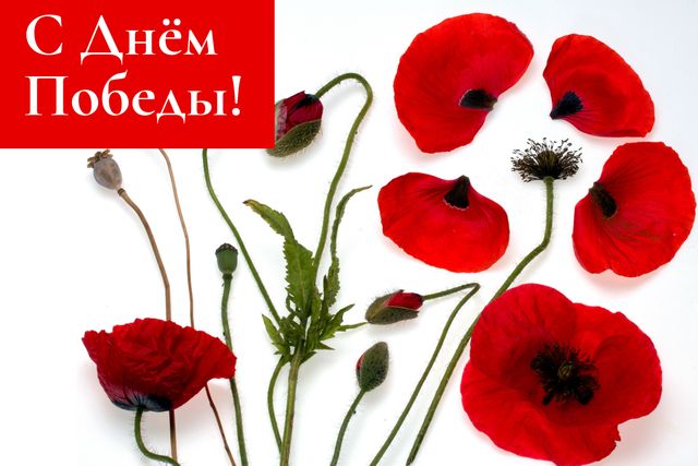 Фото на День победы 9 мая- фото 326378