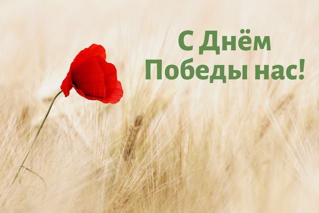 Открытка с Днем победы - фото 326379