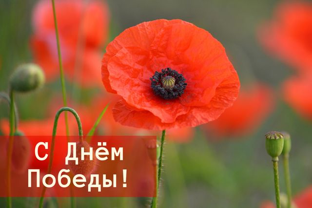 Картинка с Днем победы - фото 326381