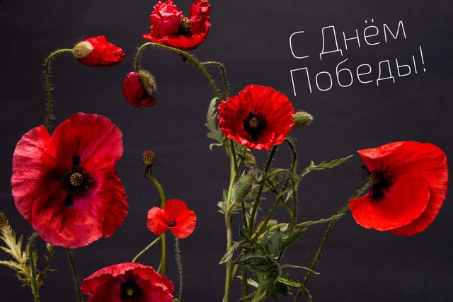 С Днем победы - фото 326382