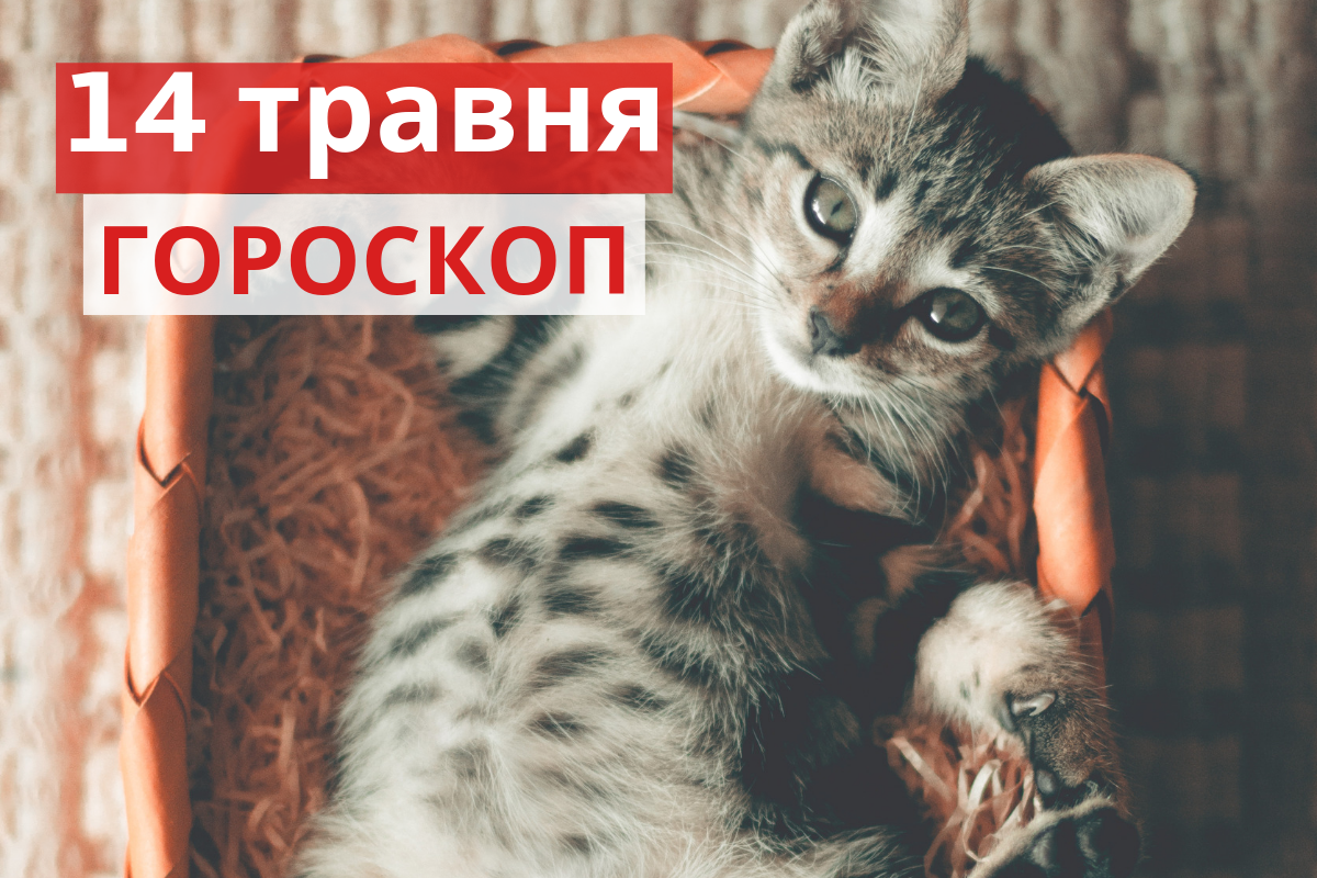 Гороскоп на 14 травня 2019: прогноз для всіх знаків Зодіаку