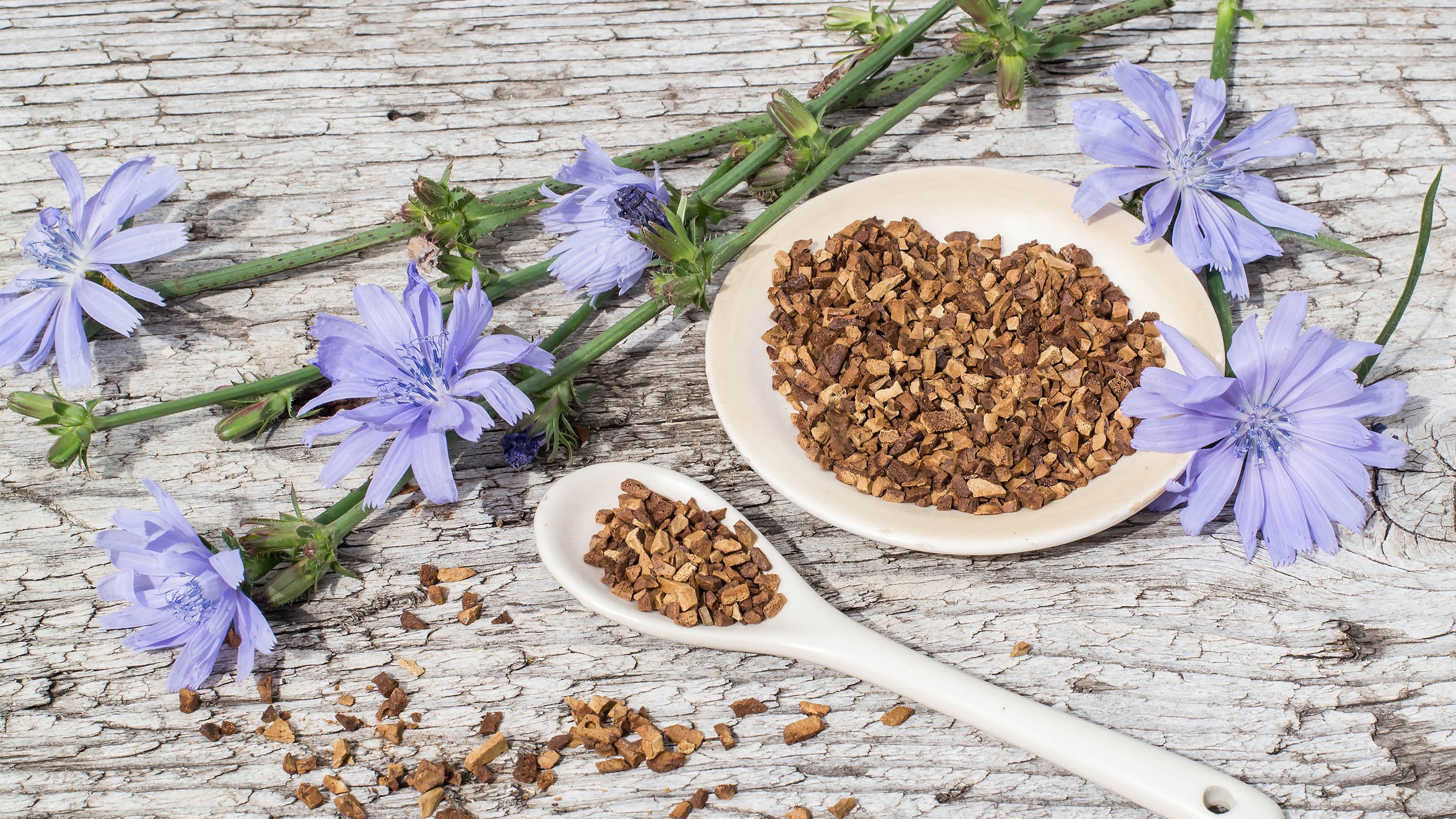 Чи правда цикорій корисніший за каву