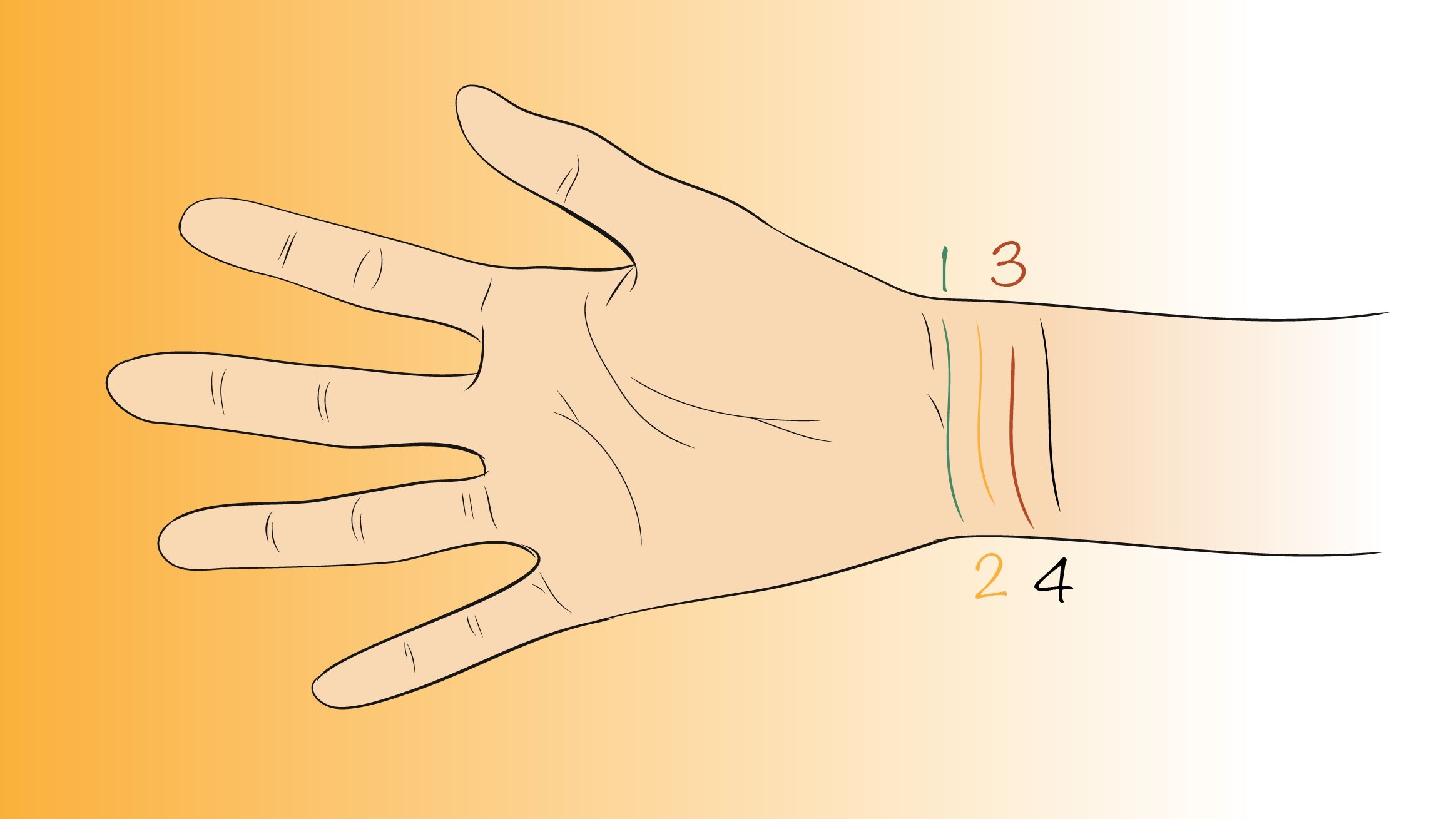 Про що говорять лінії на зап'ясті і їх кількість