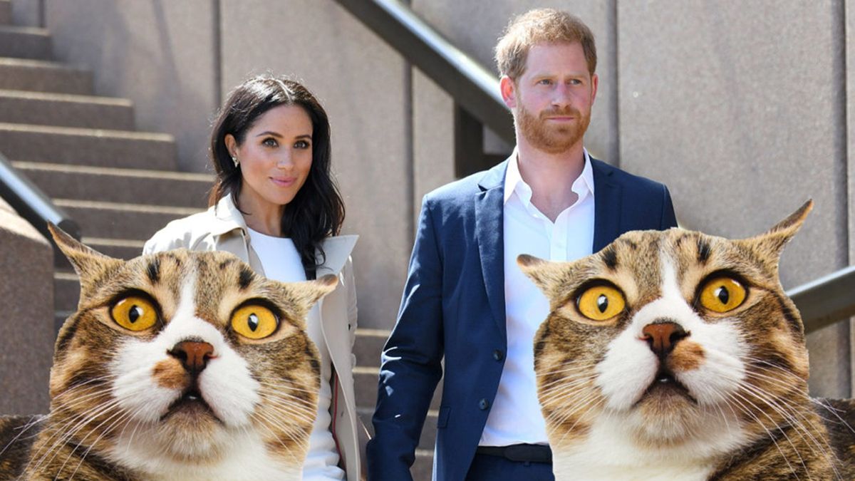 Меган Маркл назвала сина на честь кота?