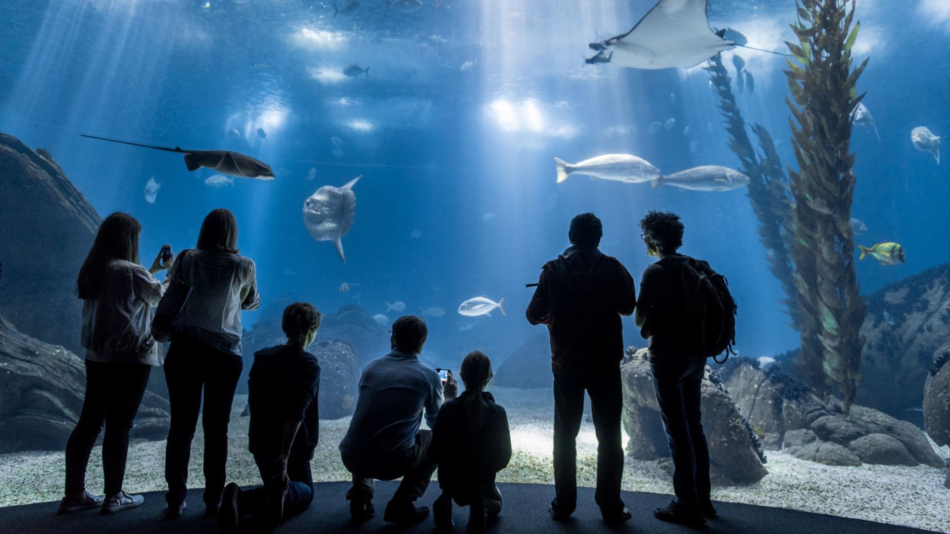 Як людина за 50 років змінила планету