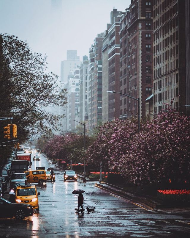 Нью-Йорк, який не бачать туристи: захопливі фото - фото 327019