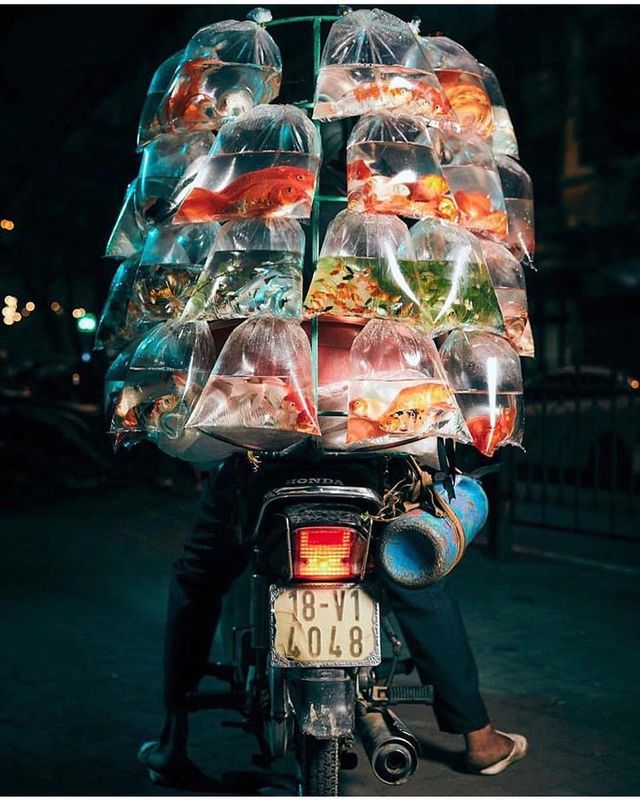 Життя мотоциклістів зі служби доставки у В'єтнамі: вражаючі фото - фото 327147