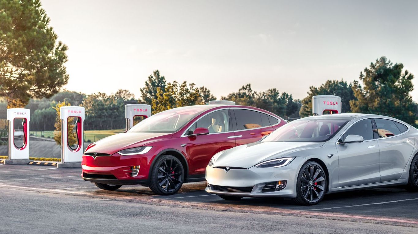 Дивіться, як автопілот Tesla врятував зайця: відеофакт