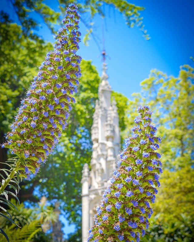 Талановитий хлопець побував в 111 країнах: захопливі фото - фото 327363