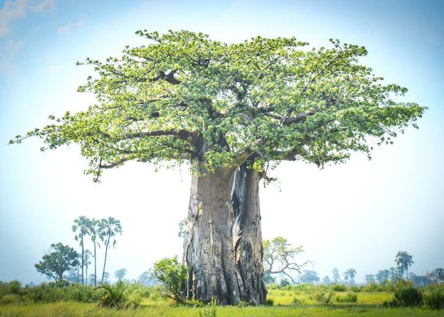 Талановитий хлопець побував в 111 країнах: захопливі фото - фото 327364