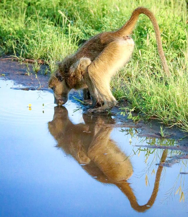 Талановитий хлопець побував в 111 країнах: захопливі фото - фото 327365