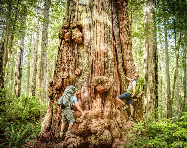 Талановитий хлопець побував в 111 країнах: захопливі фото - фото 327367