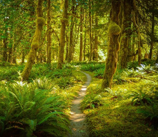 Талановитий хлопець побував в 111 країнах: захопливі фото - фото 327370