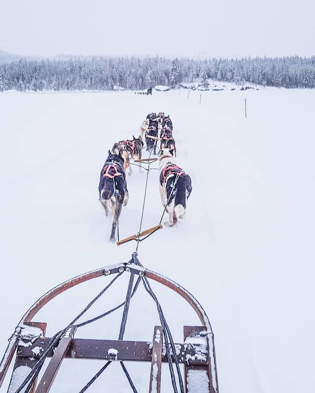 Талановитий хлопець побував в 111 країнах: захопливі фото - фото 327377