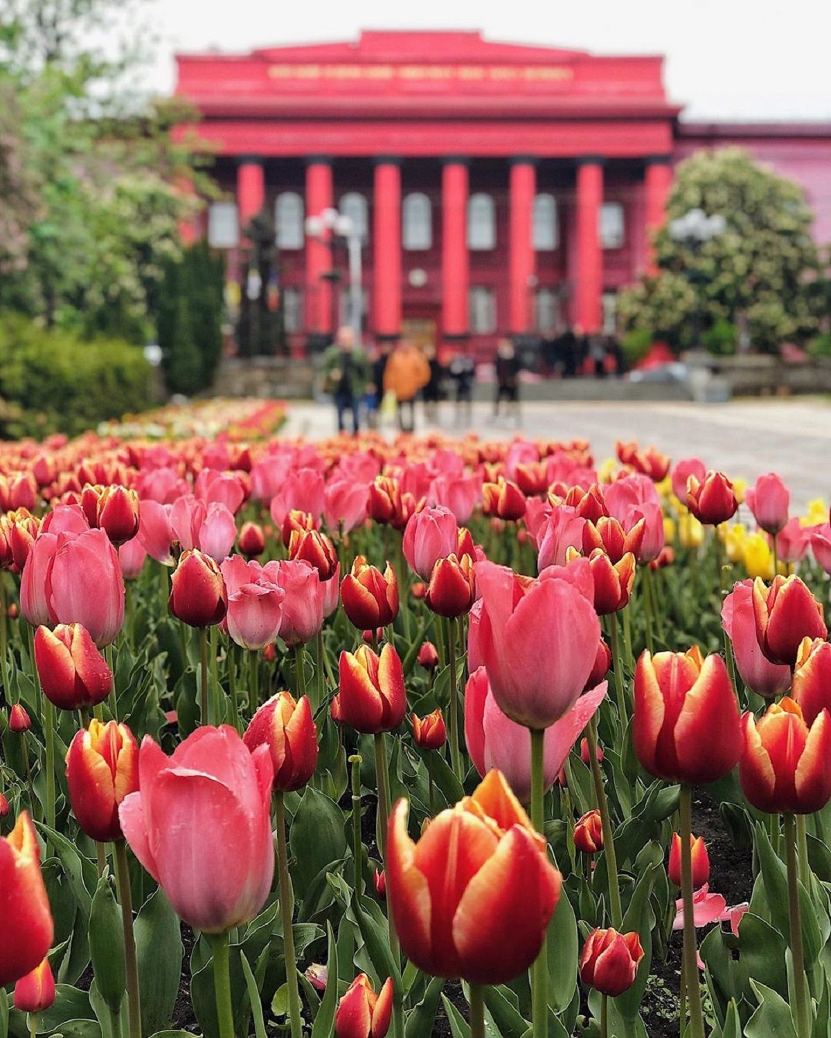 Погода в Києві на вихідних: прогноз на 18-19 травня