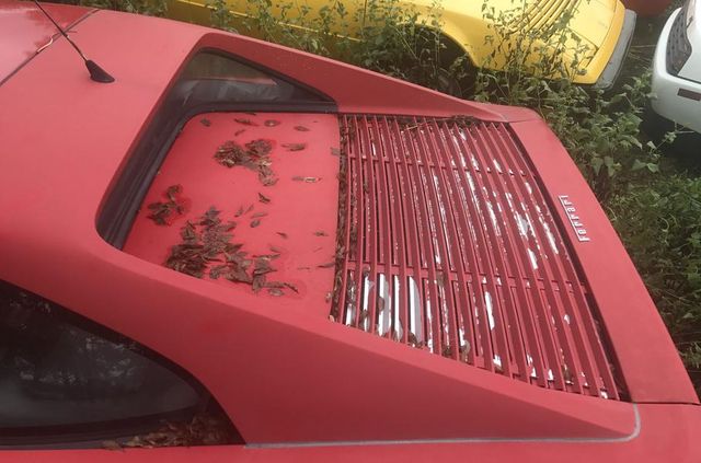 Покинута посеред поля: у США знайшли колекцію Ferrari - фото 327768