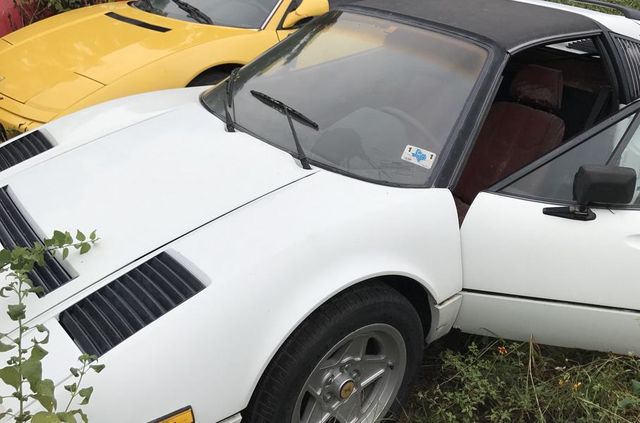 Покинута посеред поля: у США знайшли колекцію Ferrari - фото 327773