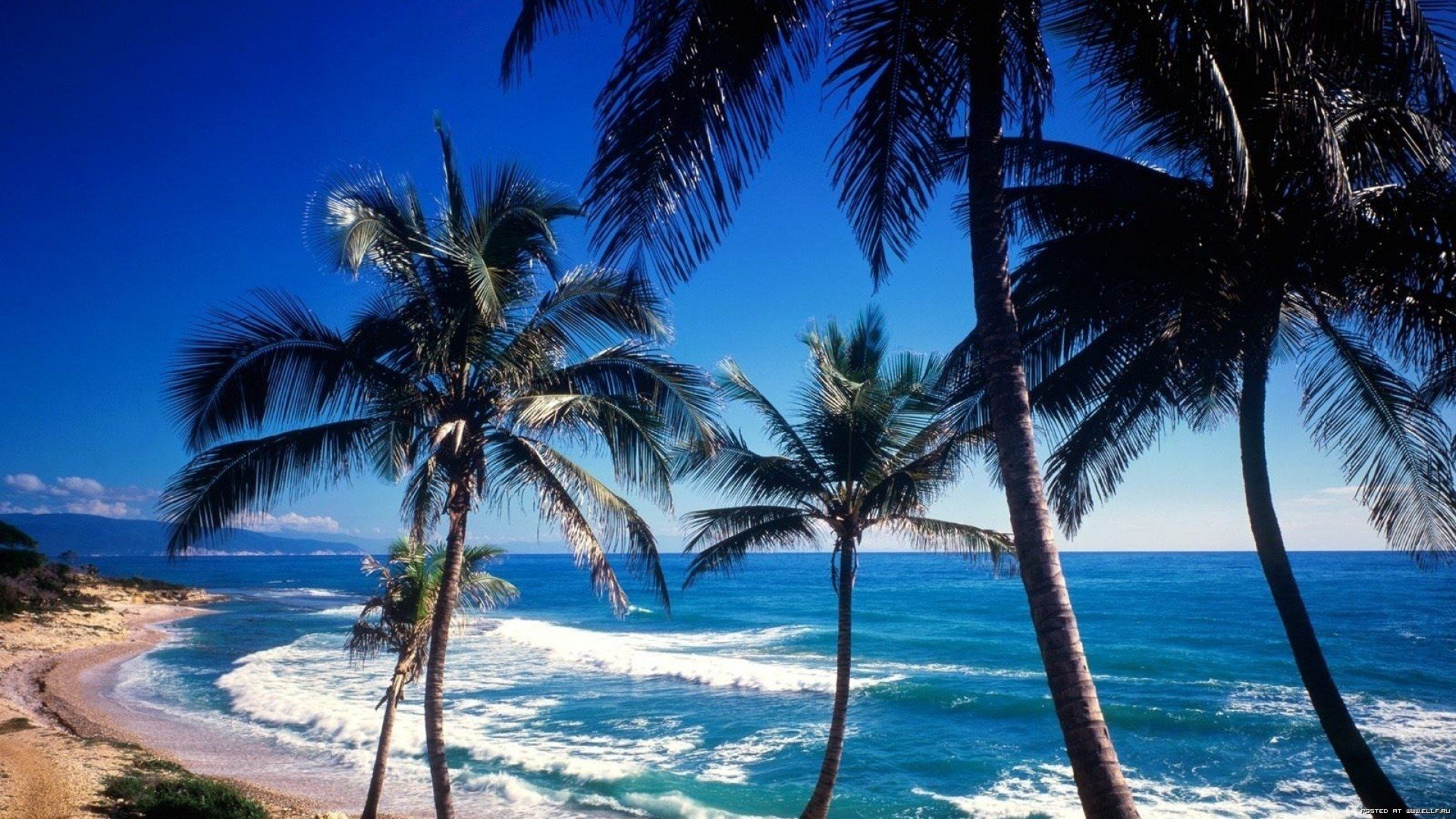 Відпочинок у Домінікані - фото 1