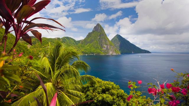 Співдружність Домініки- фото 327913