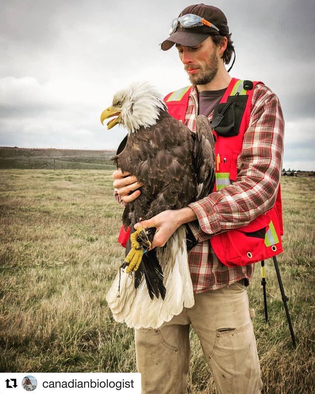 Дожилися: люди більше довіряють науковцям, які роблять селфі - фото 327982