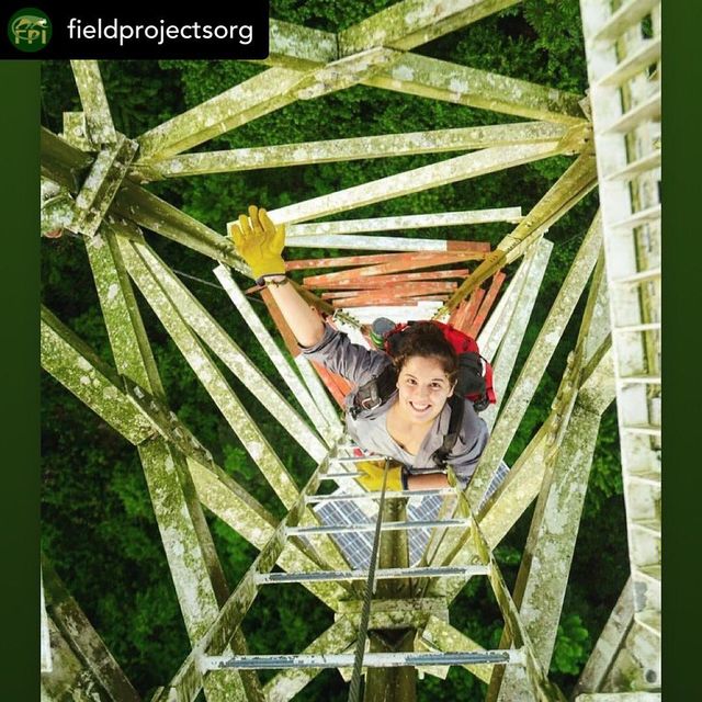 Дожилися: люди більше довіряють науковцям, які роблять селфі - фото 327986