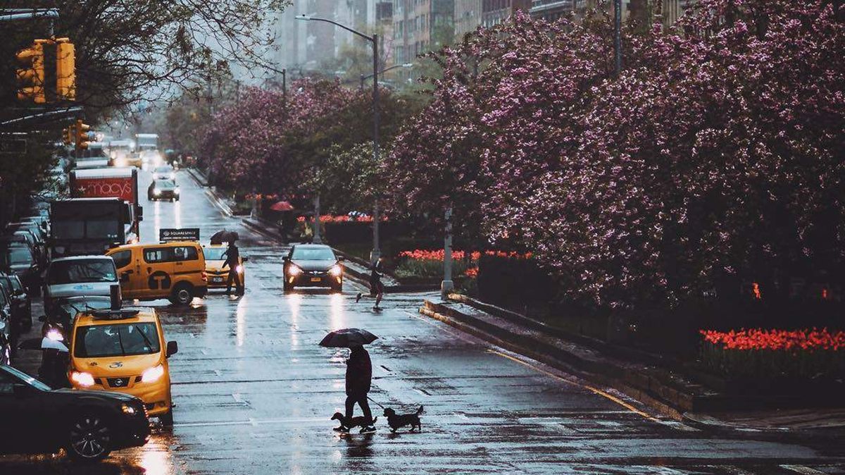 Магія вулиць Нью-Йорка від фотографа-самоучки - фото 1