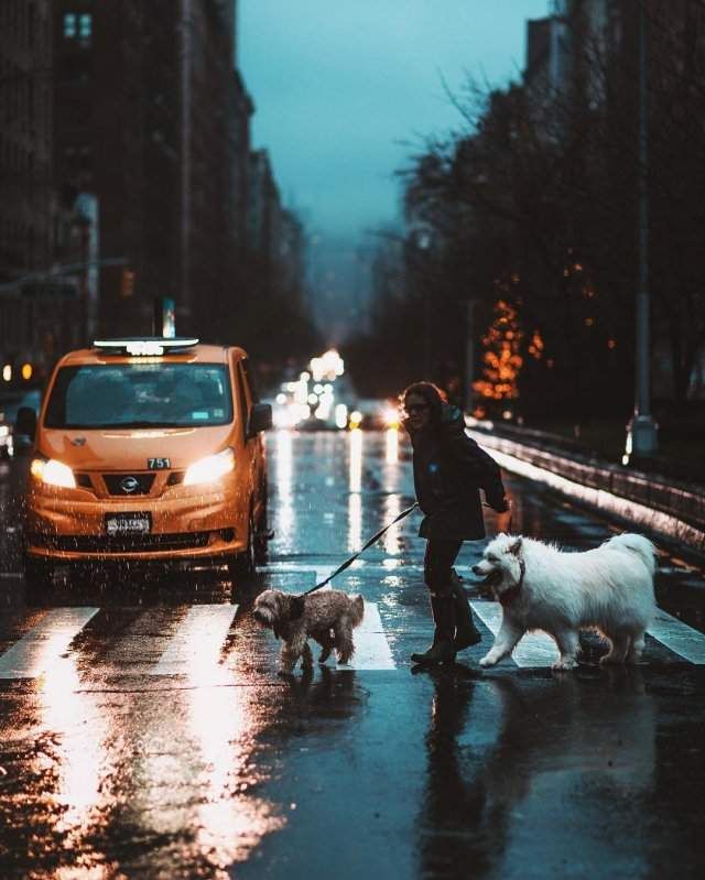 У мережі показали Нью-Йорк очима талановитого фотографа - фото 328025