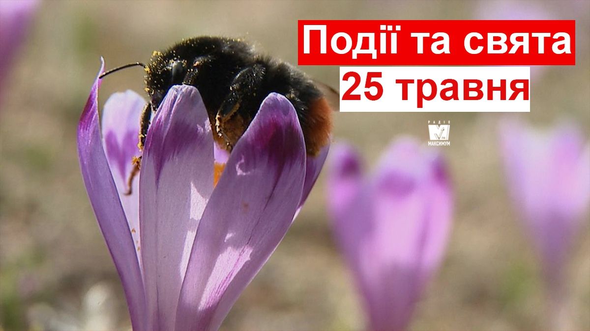 25 травня 2019 – яке сьогодні свято: традиції, заборони і прикмети
