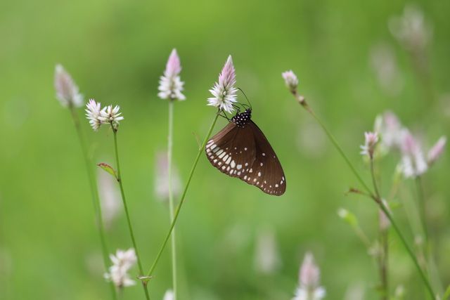 29 травня 2019 – яке сьогодні свято: традиції, заборони і прикмети - фото 328753