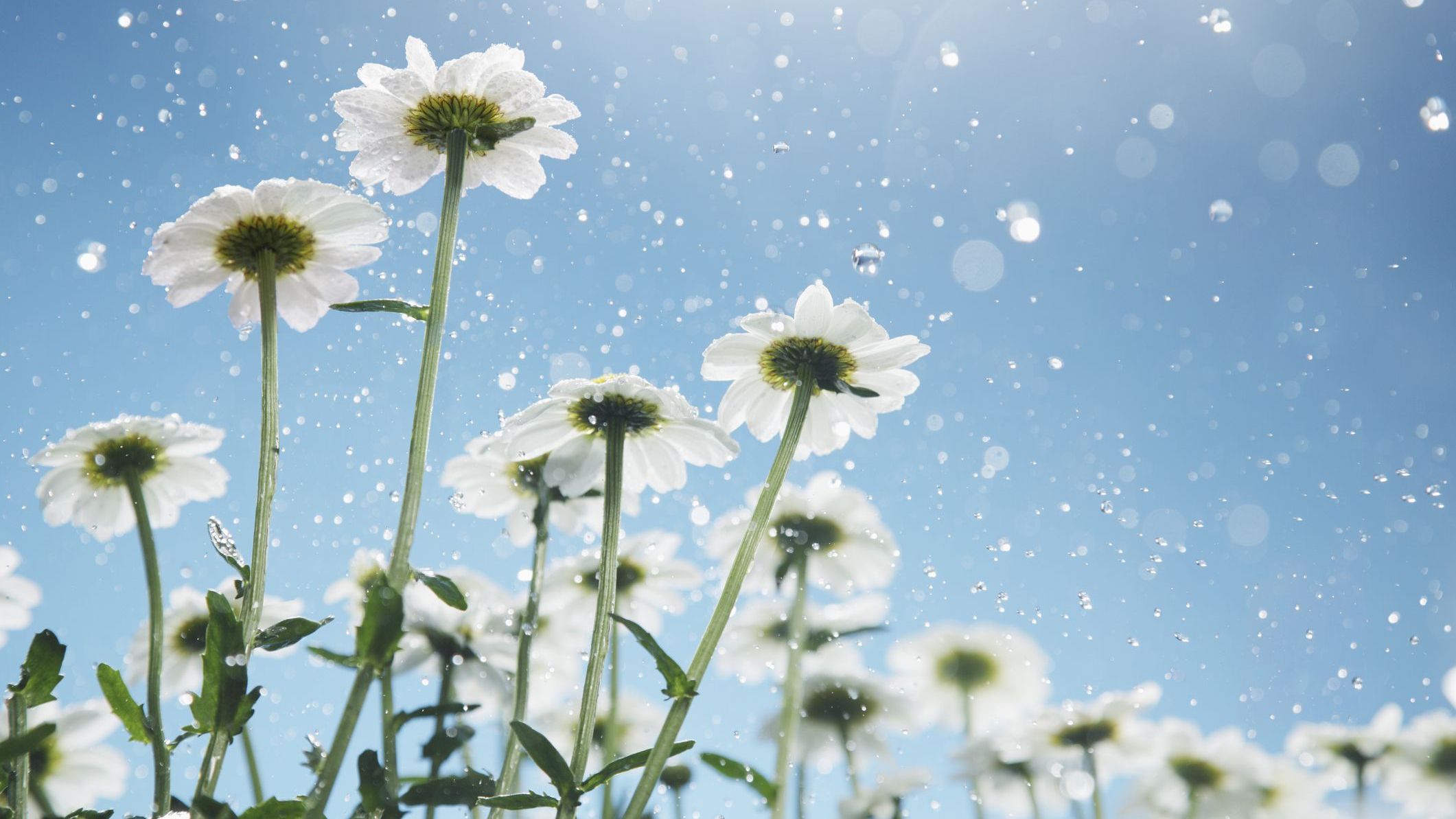 Температура влітку буде доходити до +29 +33 градусів - фото 1