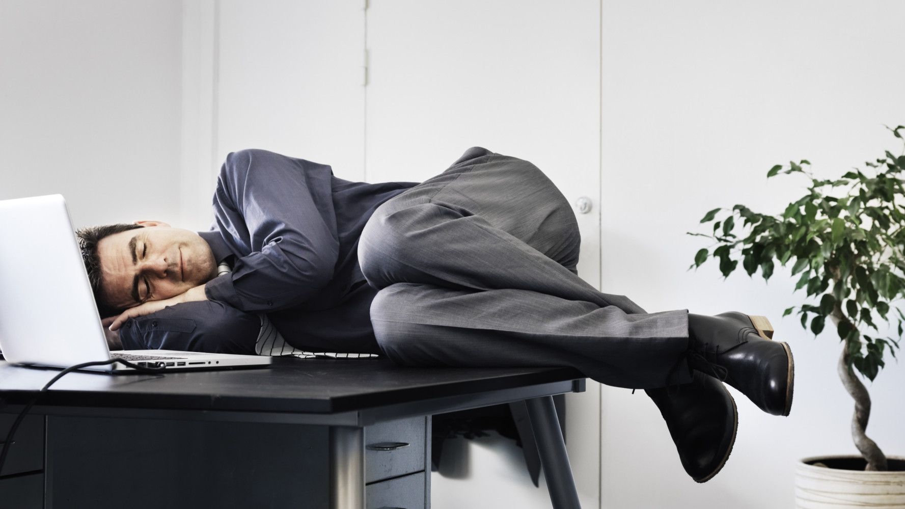 Тривалість денного сну може бути різною - фото 1