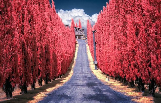 Інфрачервоні фото іспанки, від яких важко відвести погляд - фото 328961