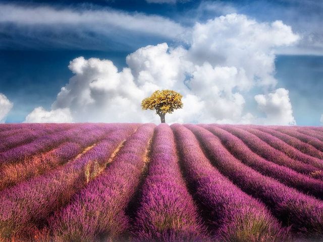 Інфрачервоні фото іспанки, від яких важко відвести погляд - фото 328963