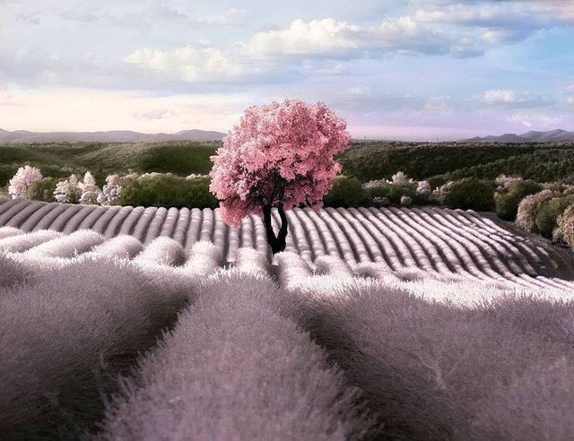 Інфрачервоні фото іспанки, від яких важко відвести погляд - фото 328966