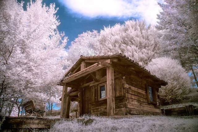 Інфрачервоні фото іспанки, від яких важко відвести погляд - фото 328969