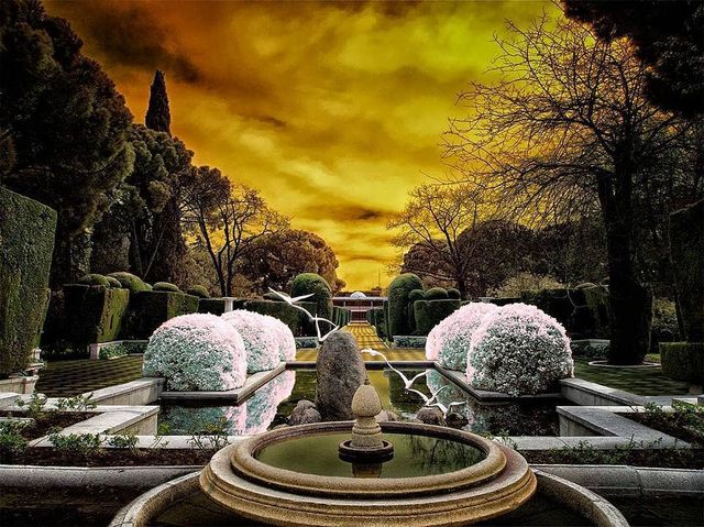 Інфрачервоні фото іспанки, від яких важко відвести погляд - фото 328971