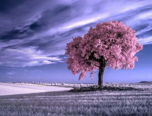 Інфрачервоні фото іспанки, від яких важко відвести погляд - фото 328975