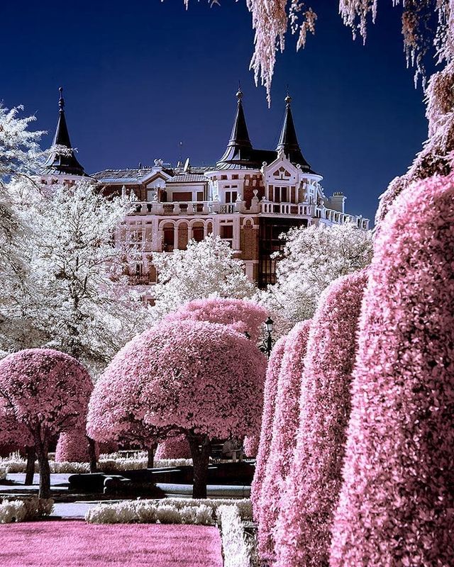 Інфрачервоні фото іспанки, від яких важко відвести погляд - фото 328981