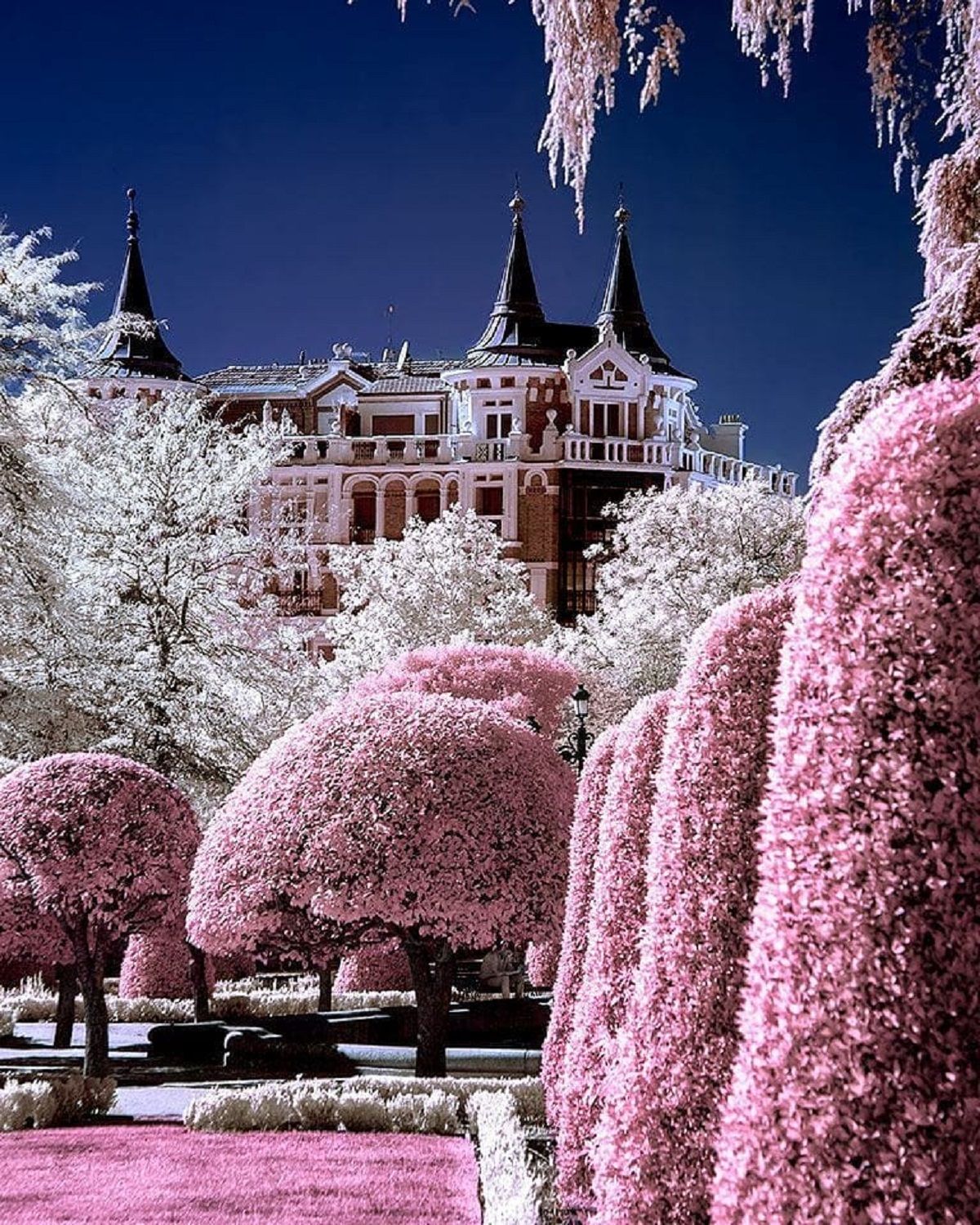 Іспанка перетворює природу у фентезі - фото 1