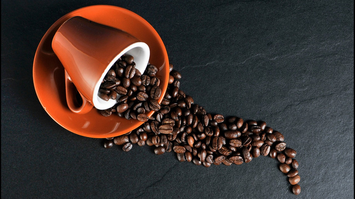 Науковці з'ясували, як кава впливає на бадьорість - фото 1