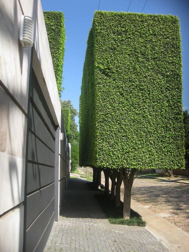 Ідеальні фото для перфекціоністів, які змушують затримати погляд - фото 330129