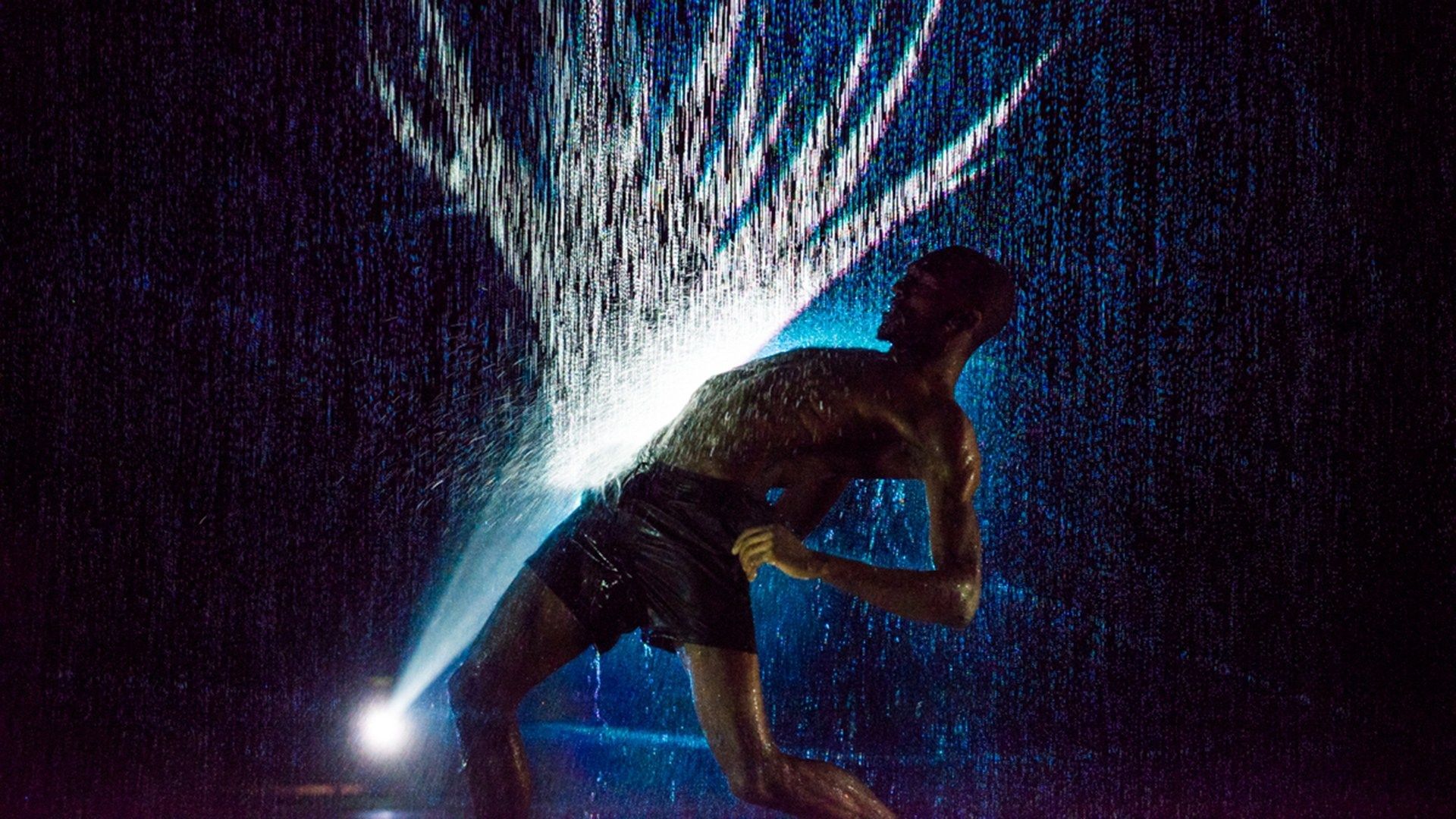 Українці потрапили у прямі ефіри Britain's Got Talent (відео)