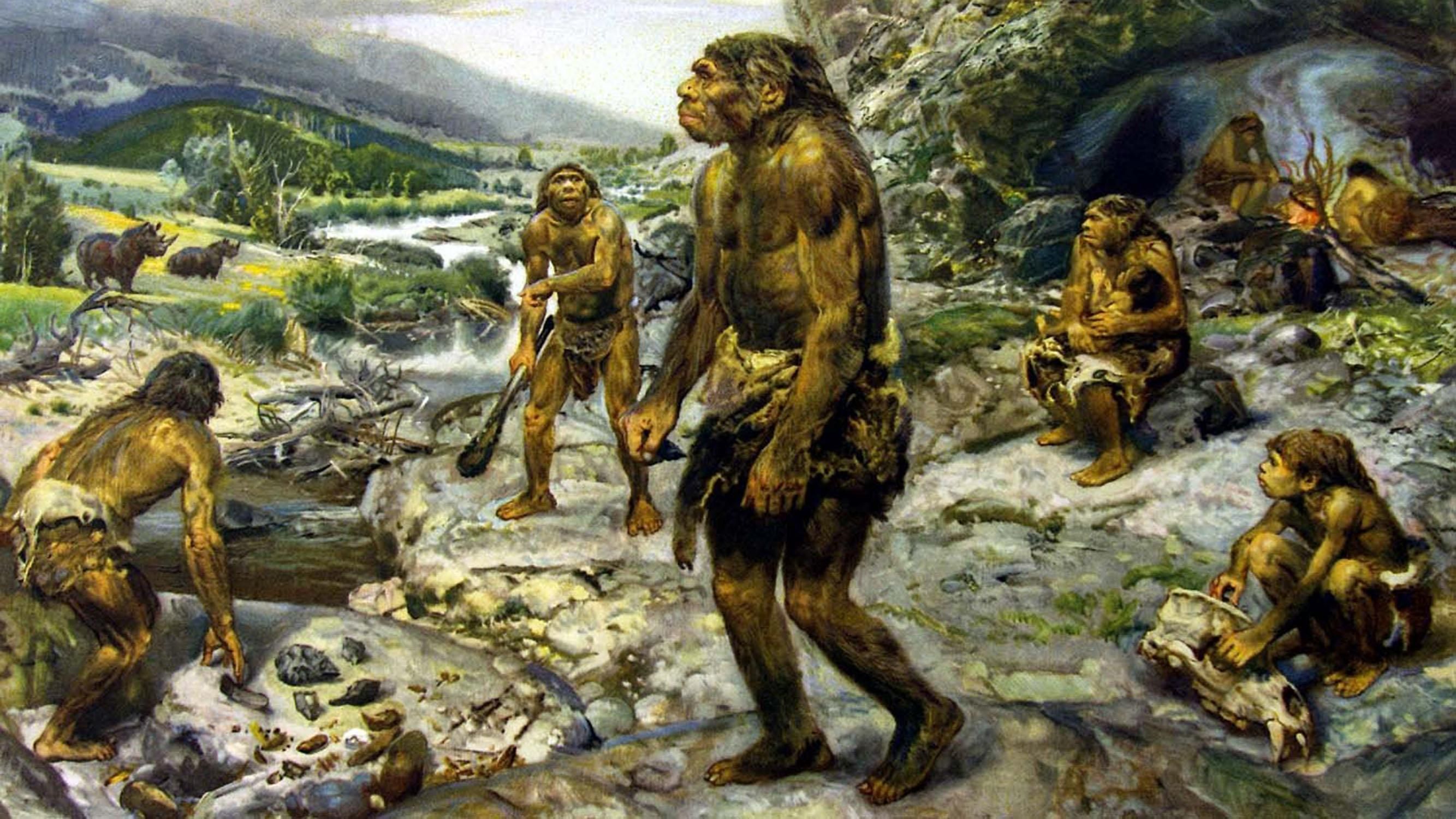 Дослідники назвали нову причину вимирання неандертальців