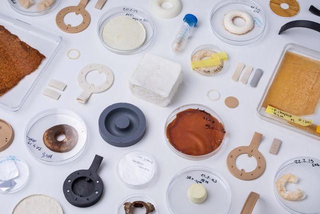 Незвичайний аксесуар: фіни створили навушники з грибів і дріжджів - фото 331365