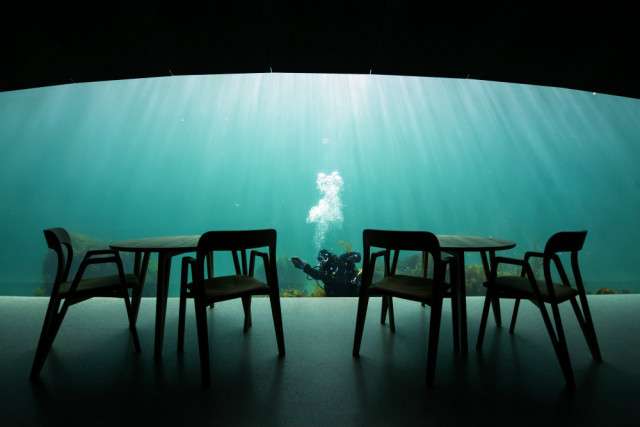 У Норвегії відкрили перший в Європі підводний ресторан - фото 331499