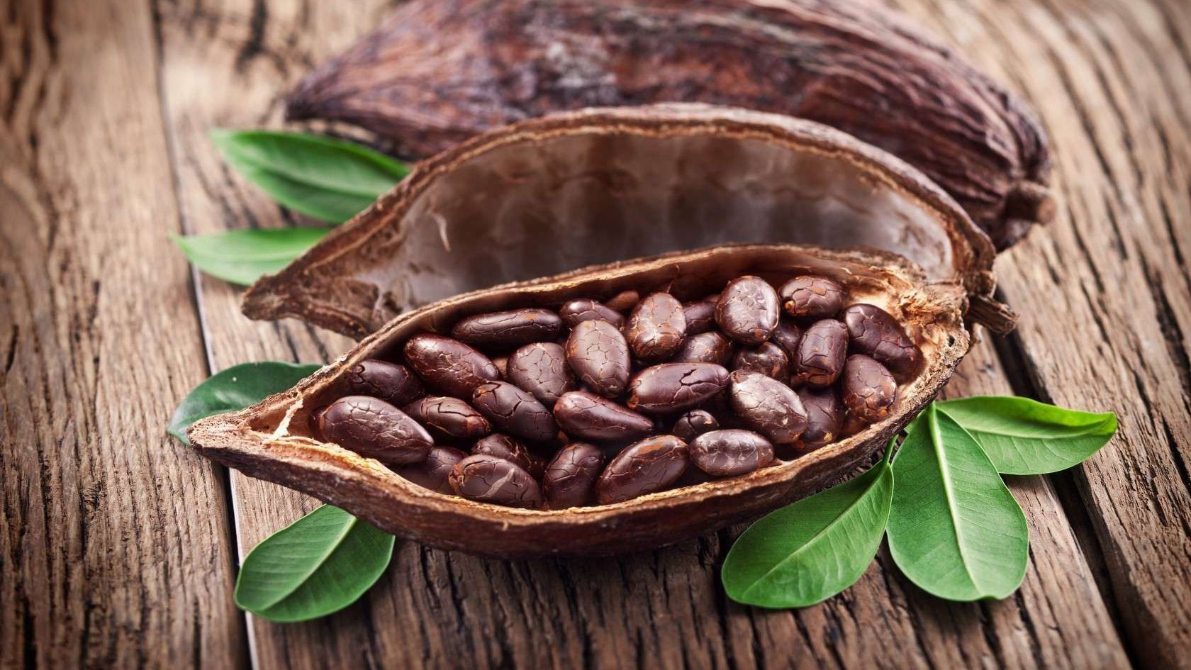 Какао - фото 1