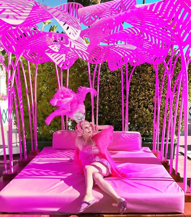 Рожеве життя: американка-барбі підкорює мережу - фото 331844