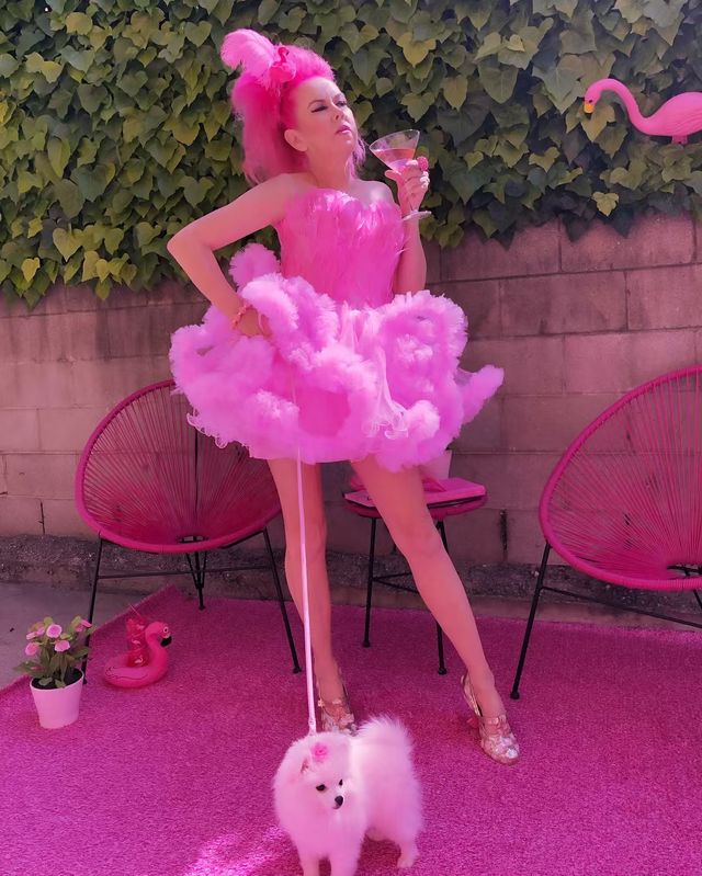 Рожеве життя: американка-барбі підкорює мережу - фото 331849