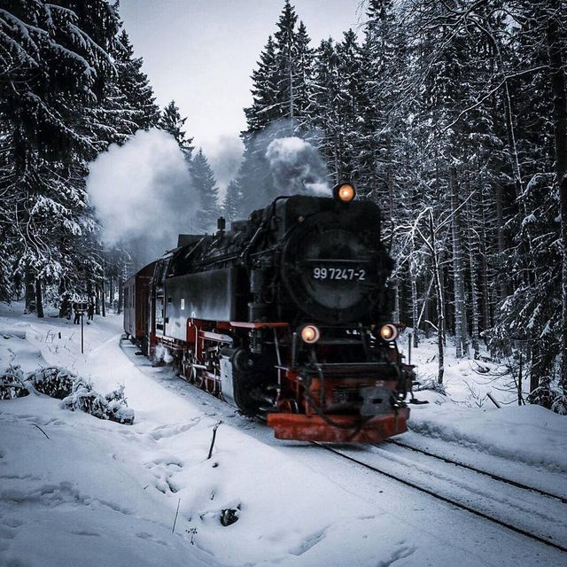 Фотограф з Німеччини показує подорожі світом: яскраві фото - фото 332086