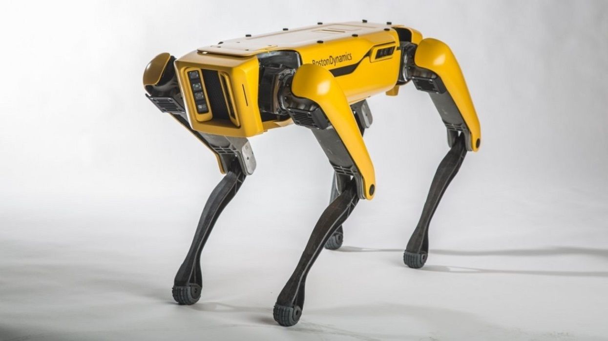 Щось пішло не так: робот-собака Boston Dynamics дав збій (відео)